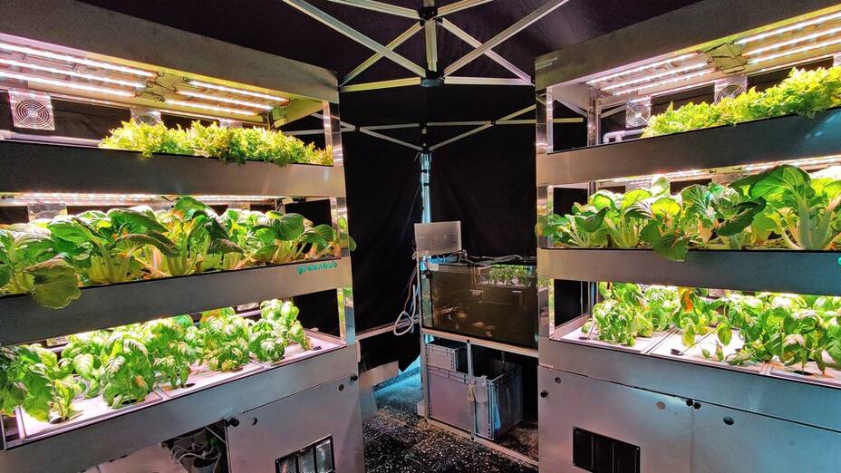 Leipziger Startup „Greenhub“ arbeitet an vertikalen Gemüsegärten