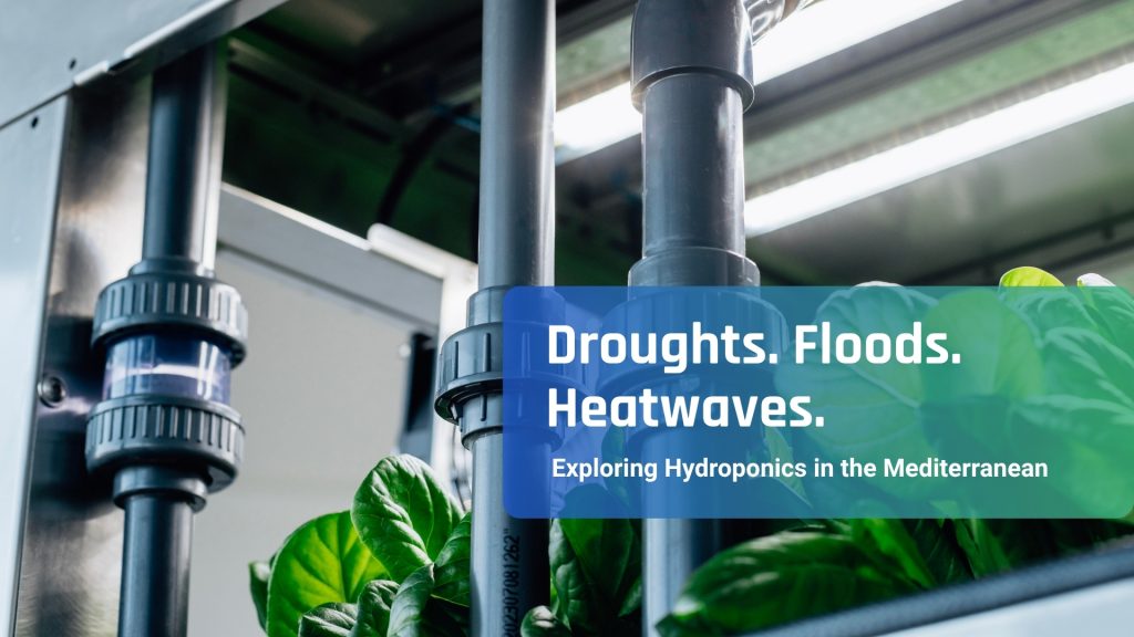Hydroponic Farming, part of the future in the Mediterranean?