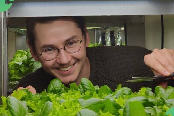 Julius Rieger harvesting in greenhub GreenResearcher