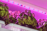 Fresh plaza features speaker Alexander Jaworski Ceo of greenhub solutions