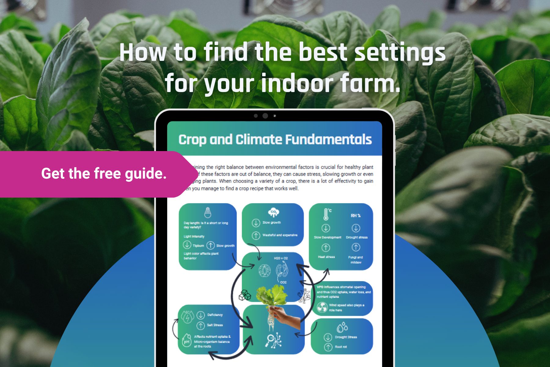 Screenshot of the vertical farming beginners guide