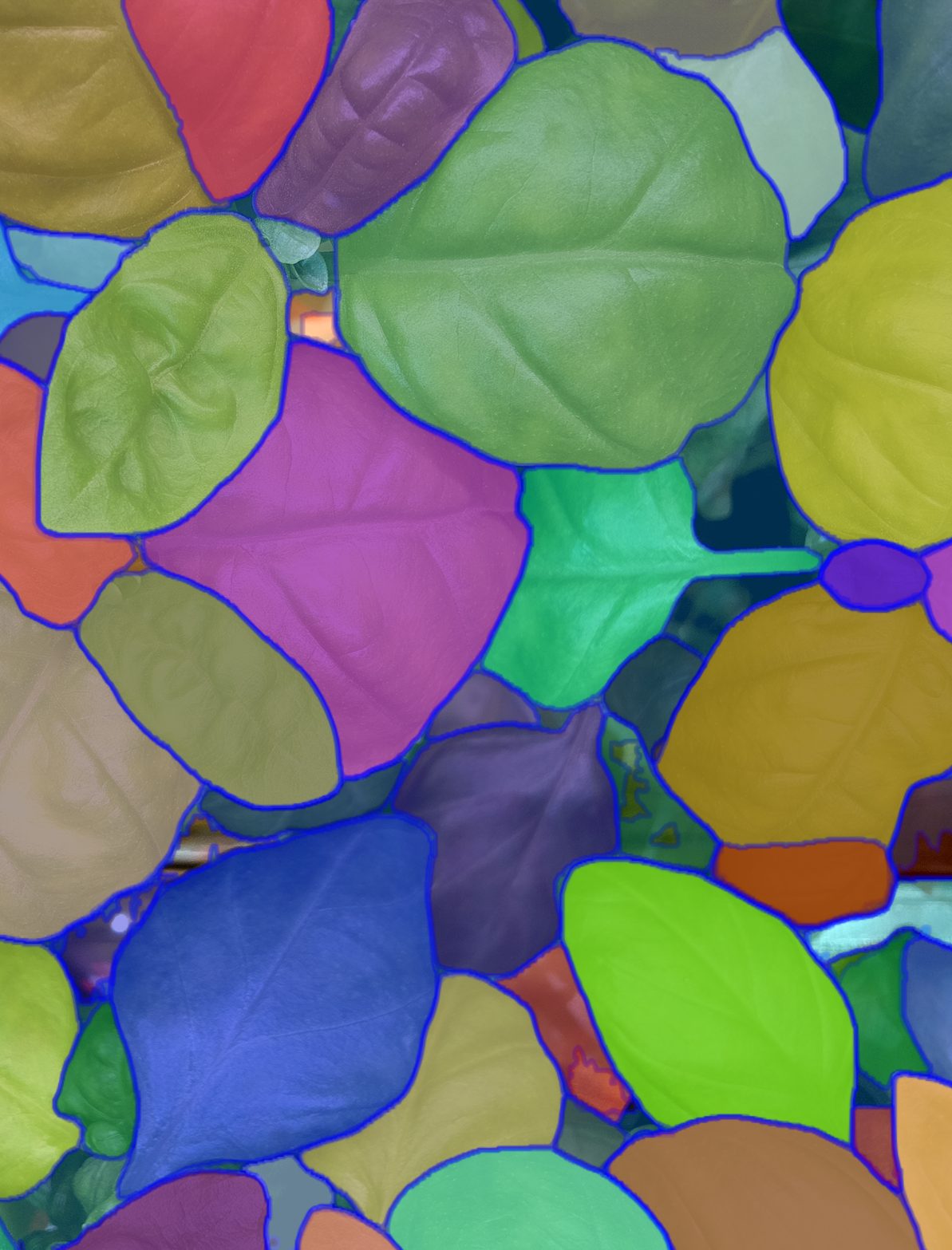 RGB-based image phenotyping
