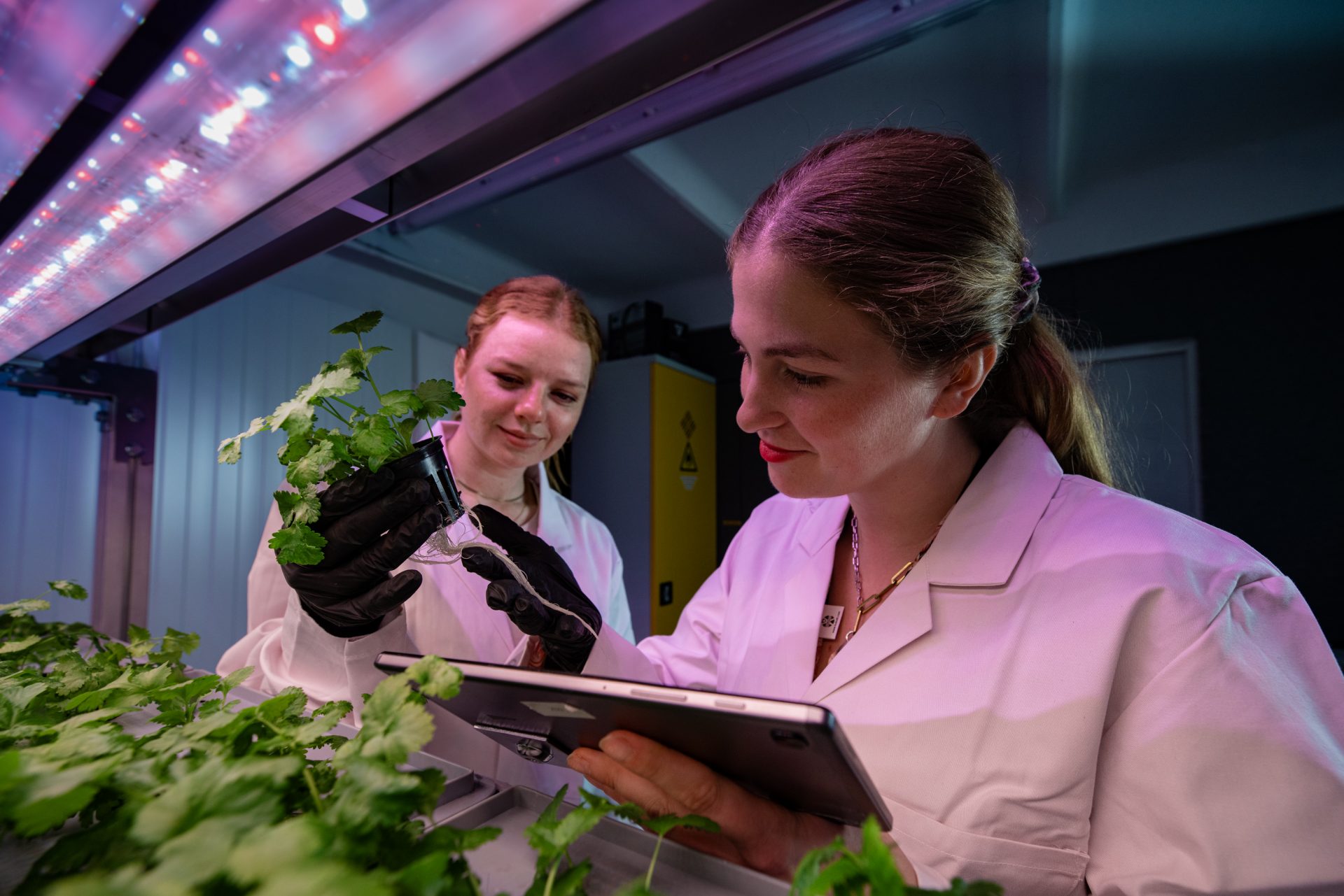 GreenPro greenhub's commercial hydroponic cultivation system.