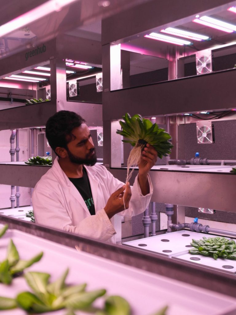 greenhub research