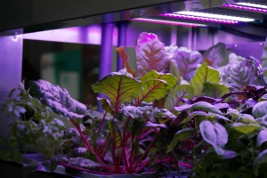 plant research automation by greenhub