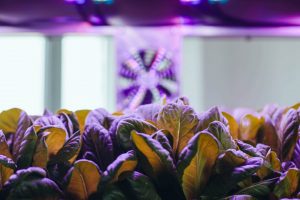 book a demo greenhub