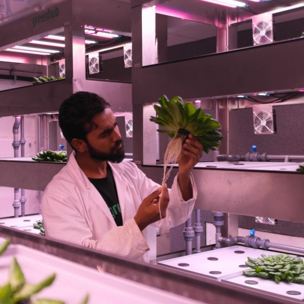 greenhub-research.jpg